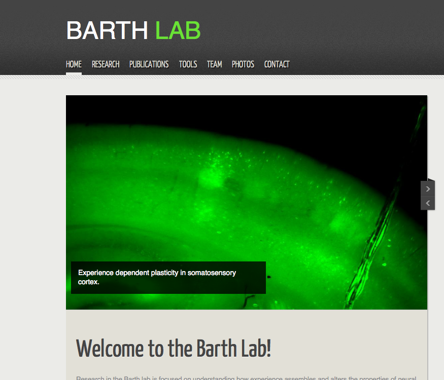 Member Image