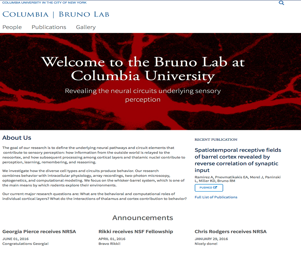 Member Image